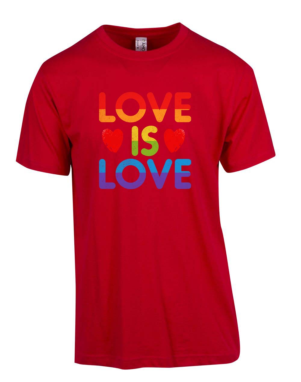 Love is Love T Shirt