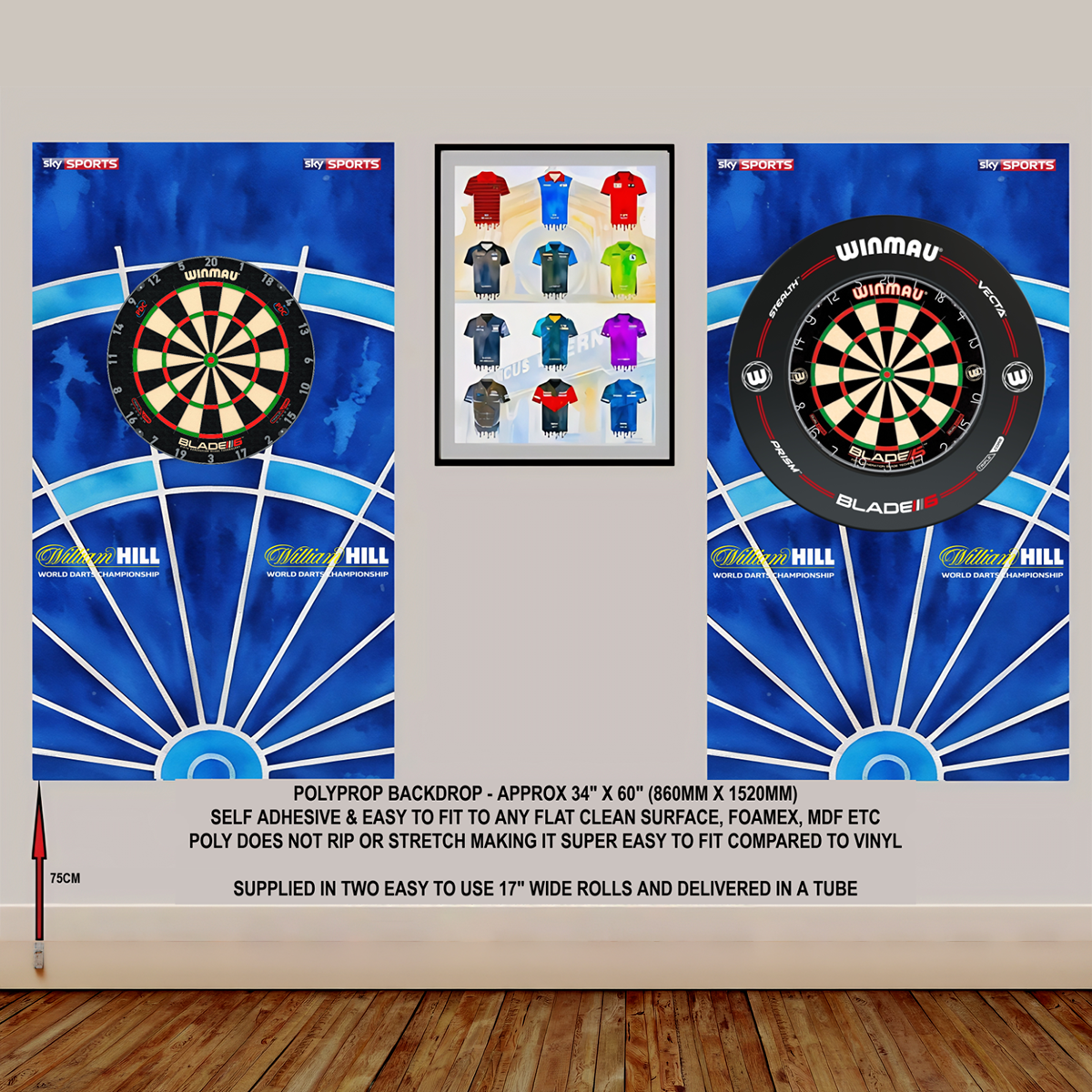 Custom Dartboard Backdrops