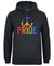 Pride Logo Hoodie