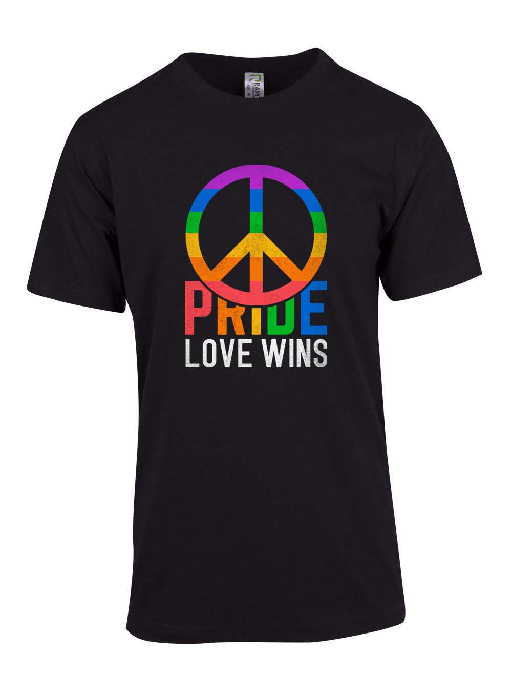 Pride Love Wins T Shirt