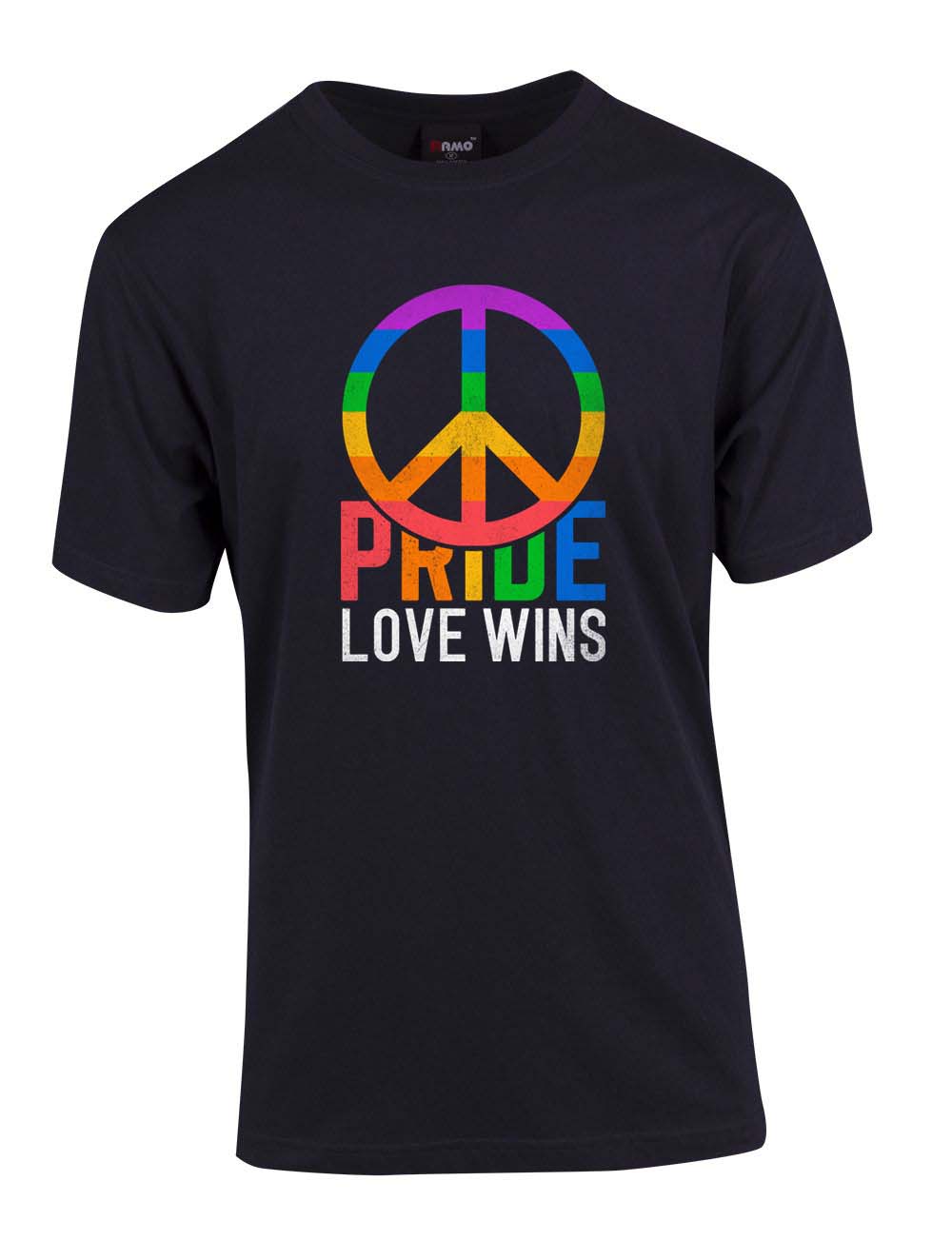 Pride Love Wins T Shirt